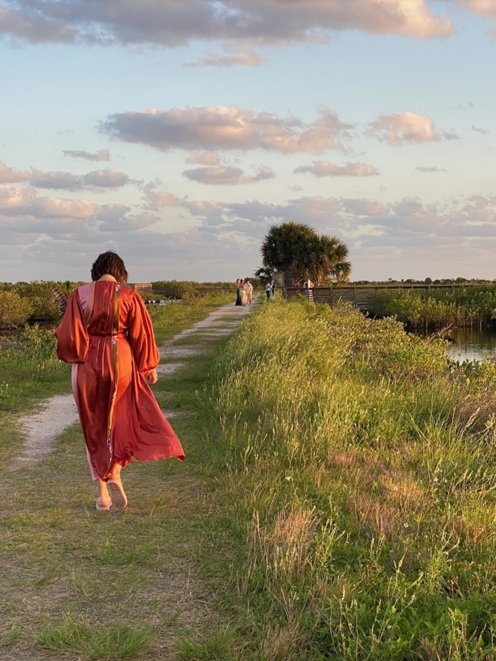 Roksanda Silk Dress - Picture 2 of 13